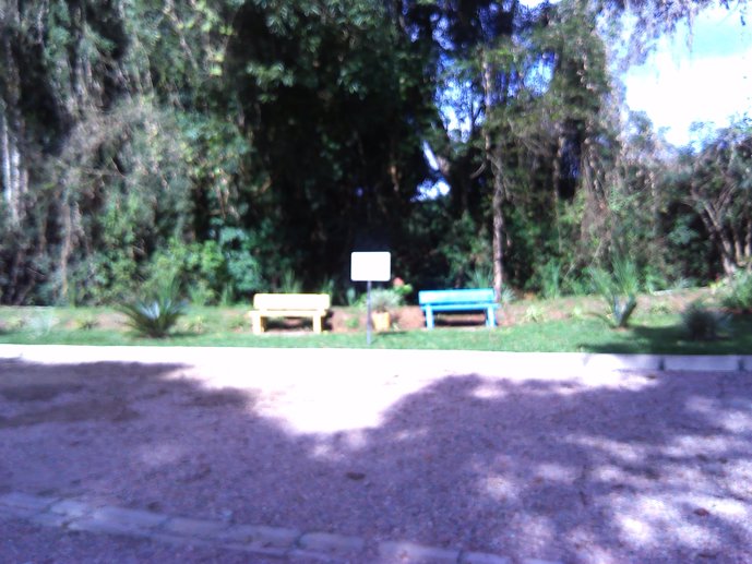 Rural com 3 Quartos à Venda, 1.237,22 m² - Foto 14
