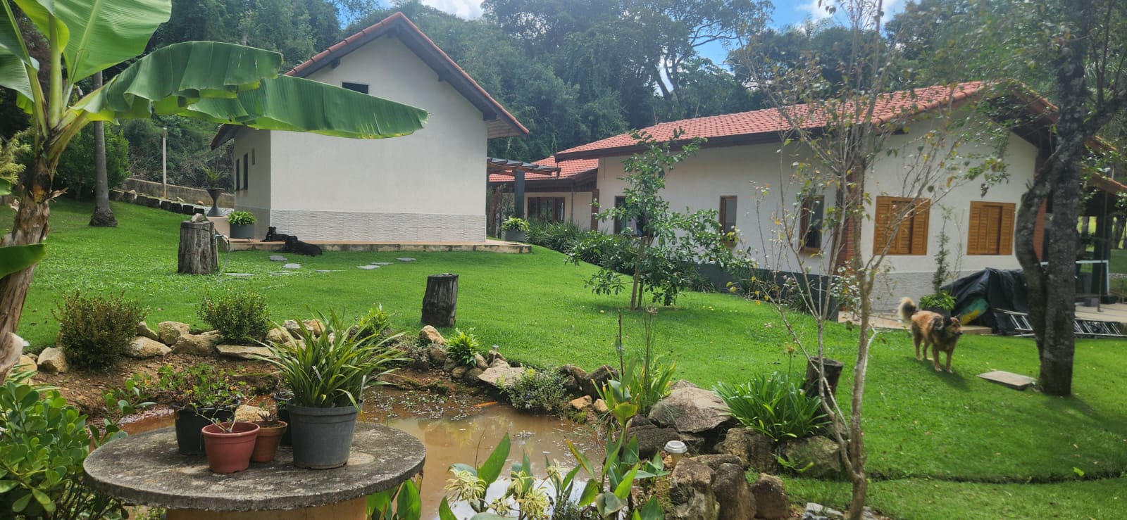 Rural com 3 Quartos à Venda, 2.730,00 m² - Foto 12
