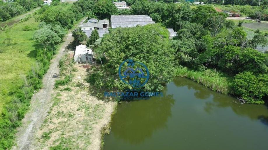 Rural com 2 Quartos à Venda - Foto 4