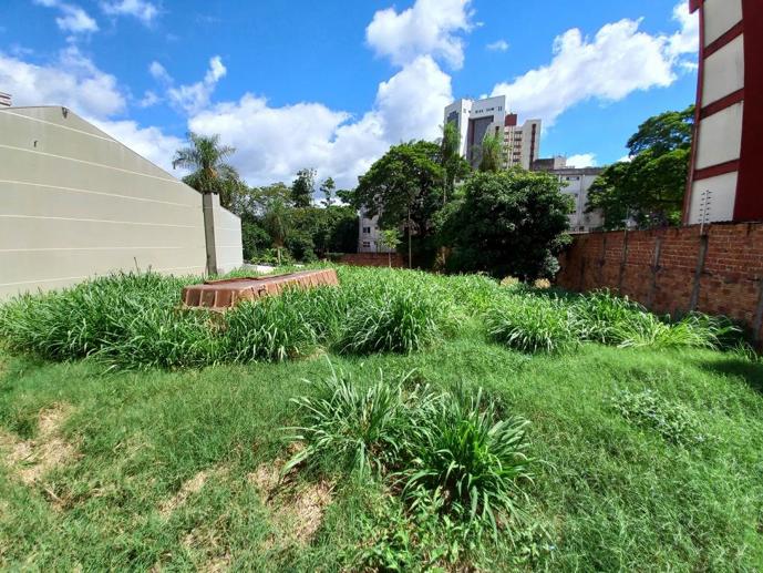 Terreno à Venda - Foto 2