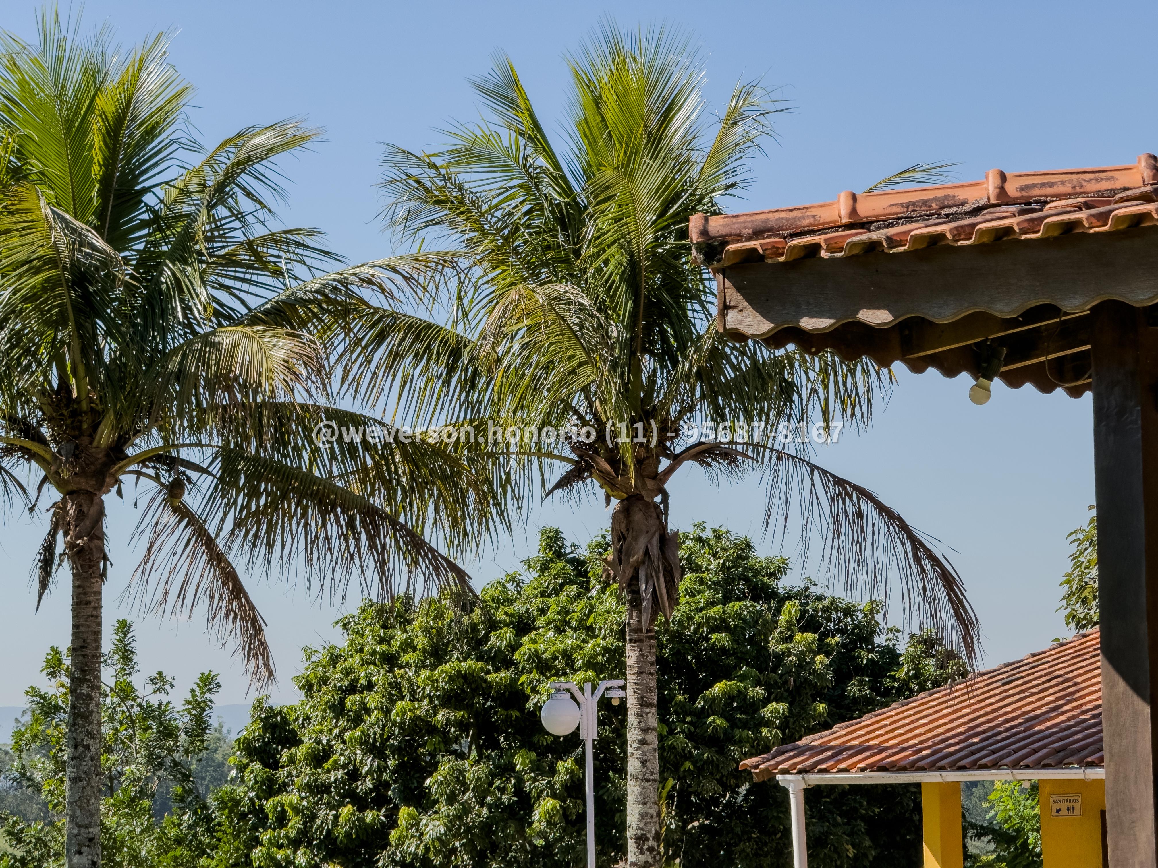 Casa com 3 Quartos à Venda, 2.600,00 m² - Foto 3