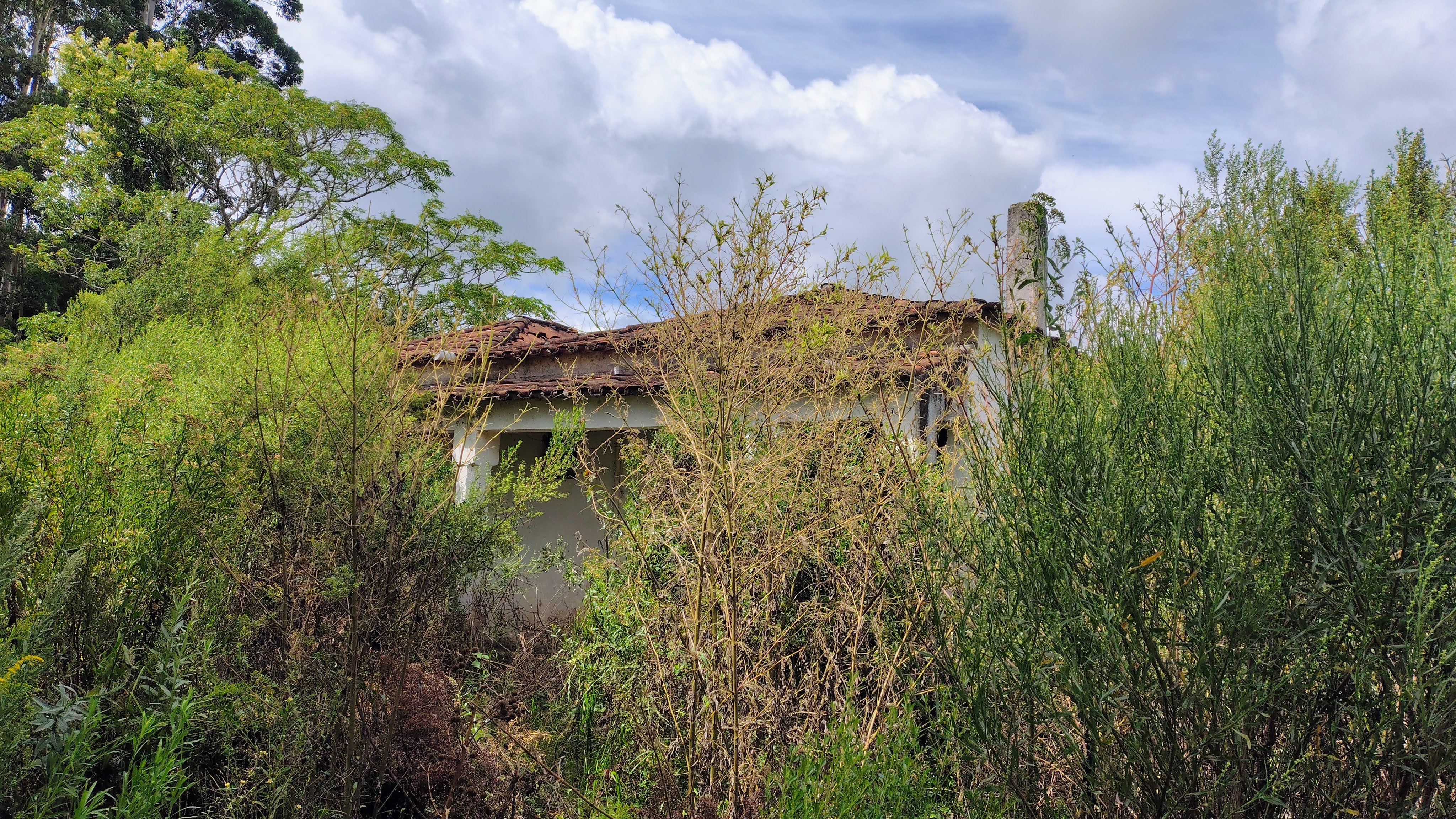 Rural à Venda, 16,00 m² - Foto 5
