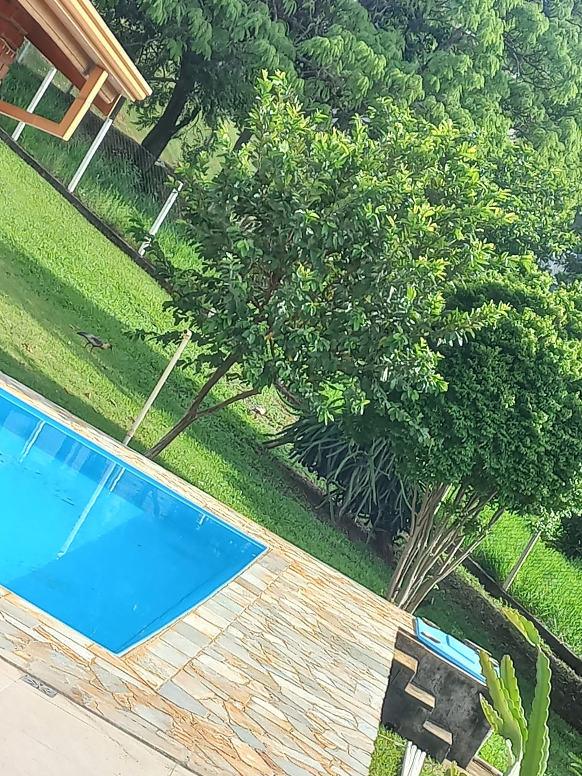 Rural com 4 Quartos à Venda, 2.100,00 m² - Foto 27