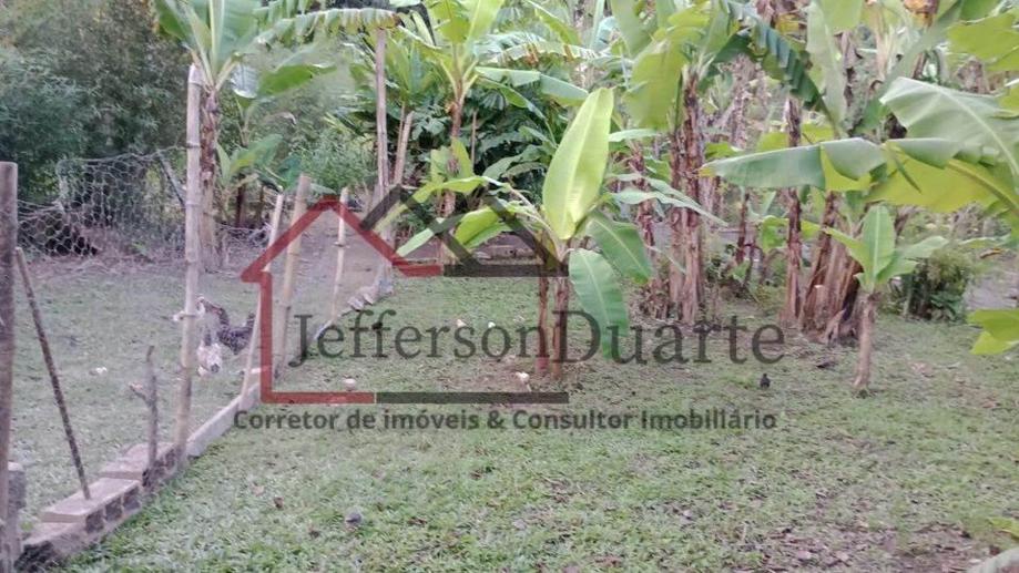 Rural com 3 Quartos à Venda, 2.500,00 m² - Foto 11