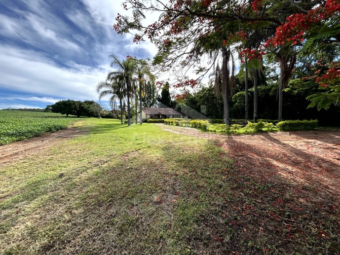 Rural com 8 Quartos à Venda, 242.000,00 m² - Foto 4