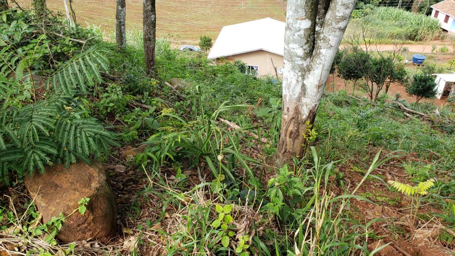Rural com 2 Quartos à Venda, 84,00 m² - Foto 8