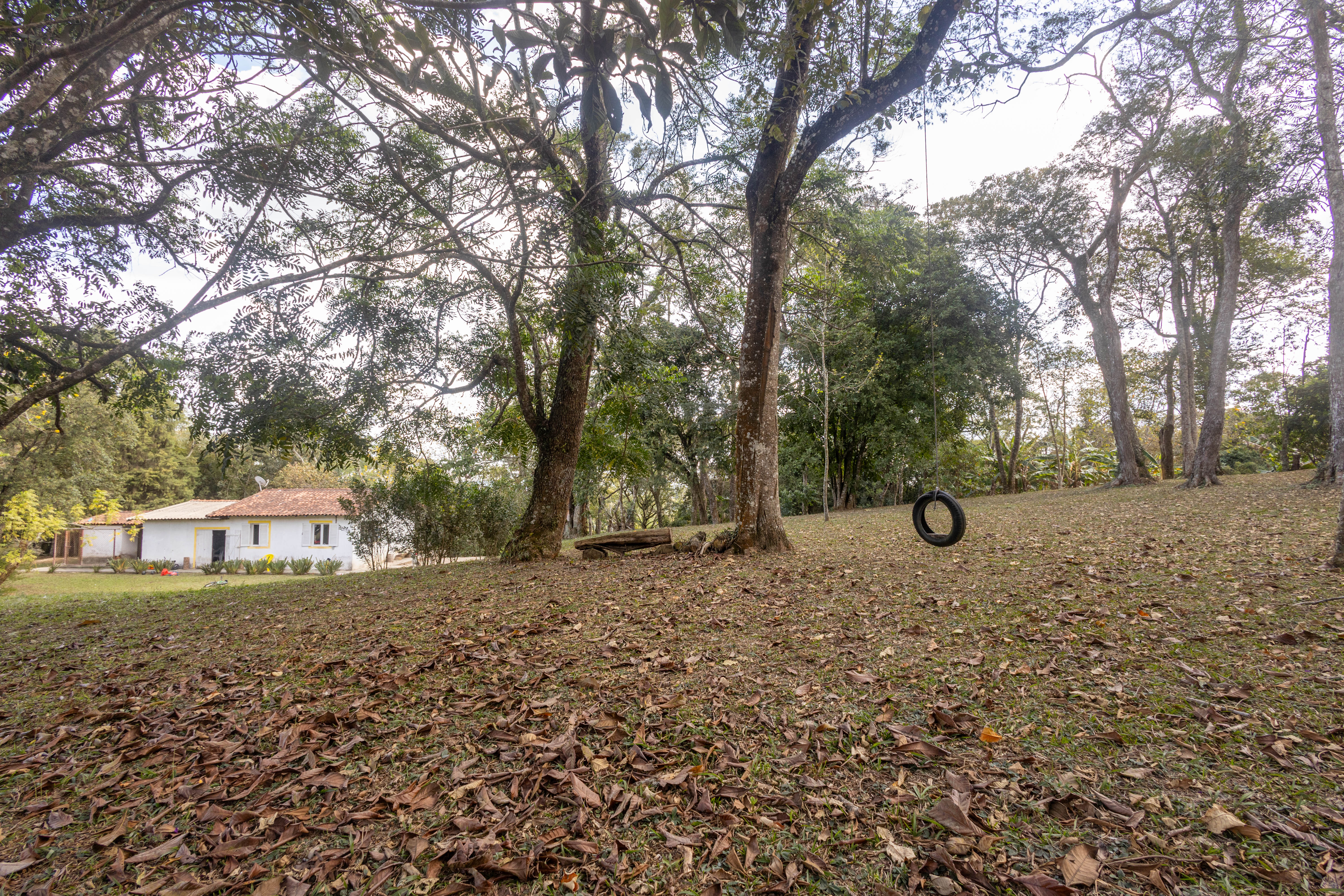 Rural com 3 Quartos à Venda, 29.607,00 m² - Foto 18