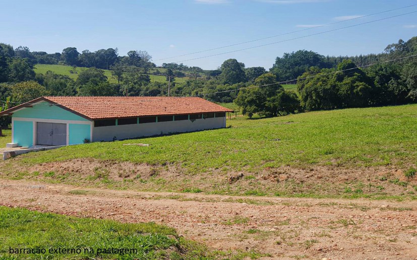 Rural com 7 Quartos à Venda - Foto 25