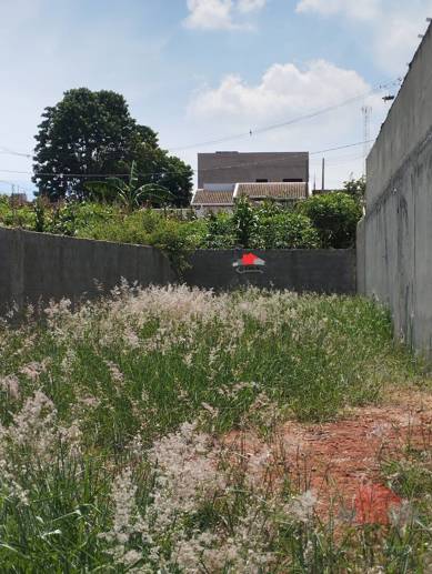 Terreno à Venda, 125,00 m² - Foto 7