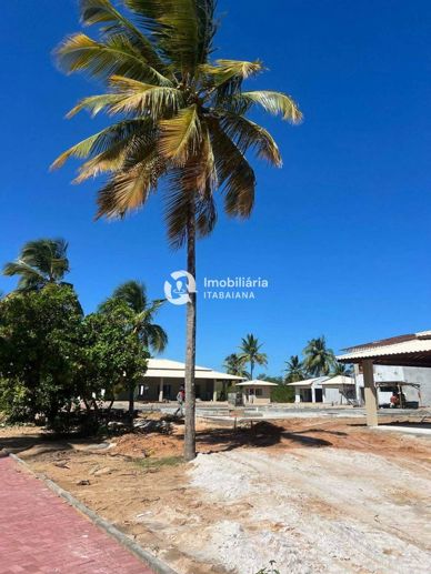 Terreno à Venda - Foto 66