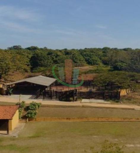 Rural com 4 Quartos à Venda, 241.000,00 m² - Foto 5