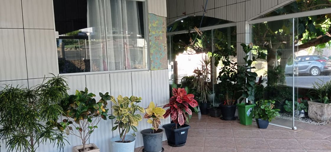Casa com 4 Quartos à Venda, 220,00 m² - Foto 5