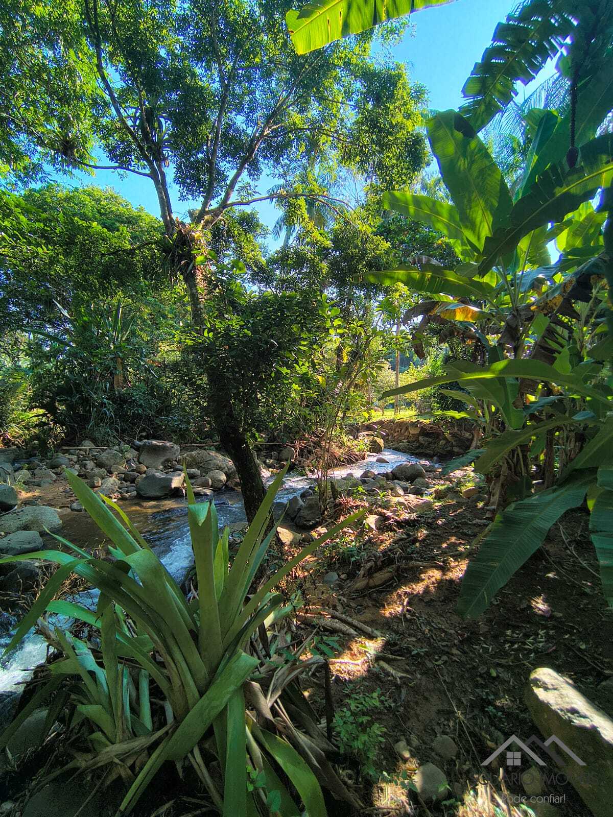 Rural à Venda, 84.700,00 m² - Foto 78