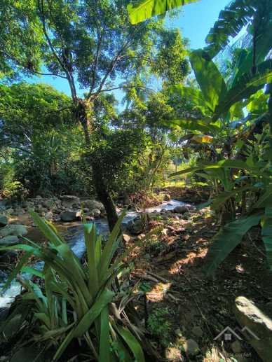 Rural à Venda, 84.700,00 m² - Foto 78
