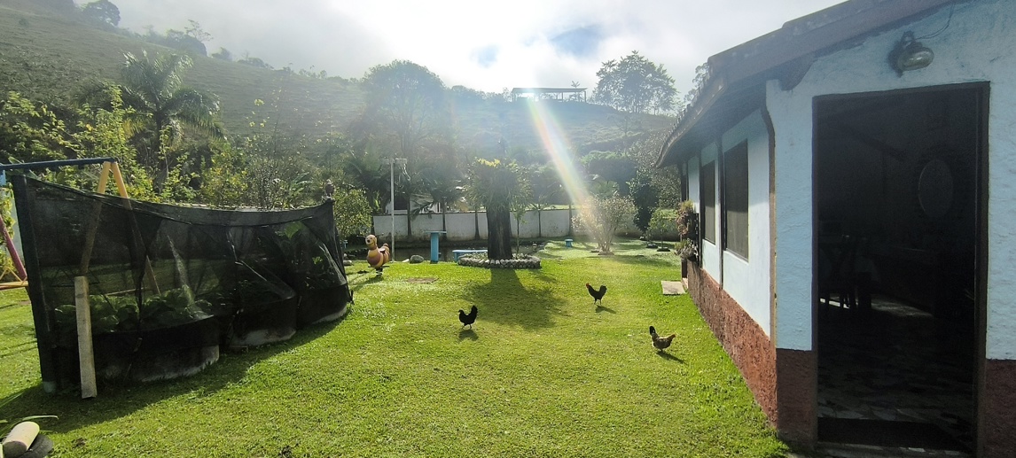 Rural com 5 Quartos à Venda, 1.000,00 m² - Foto 20
