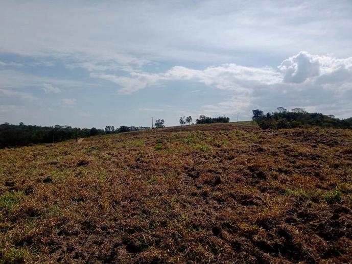 Rural à Venda - Foto 15