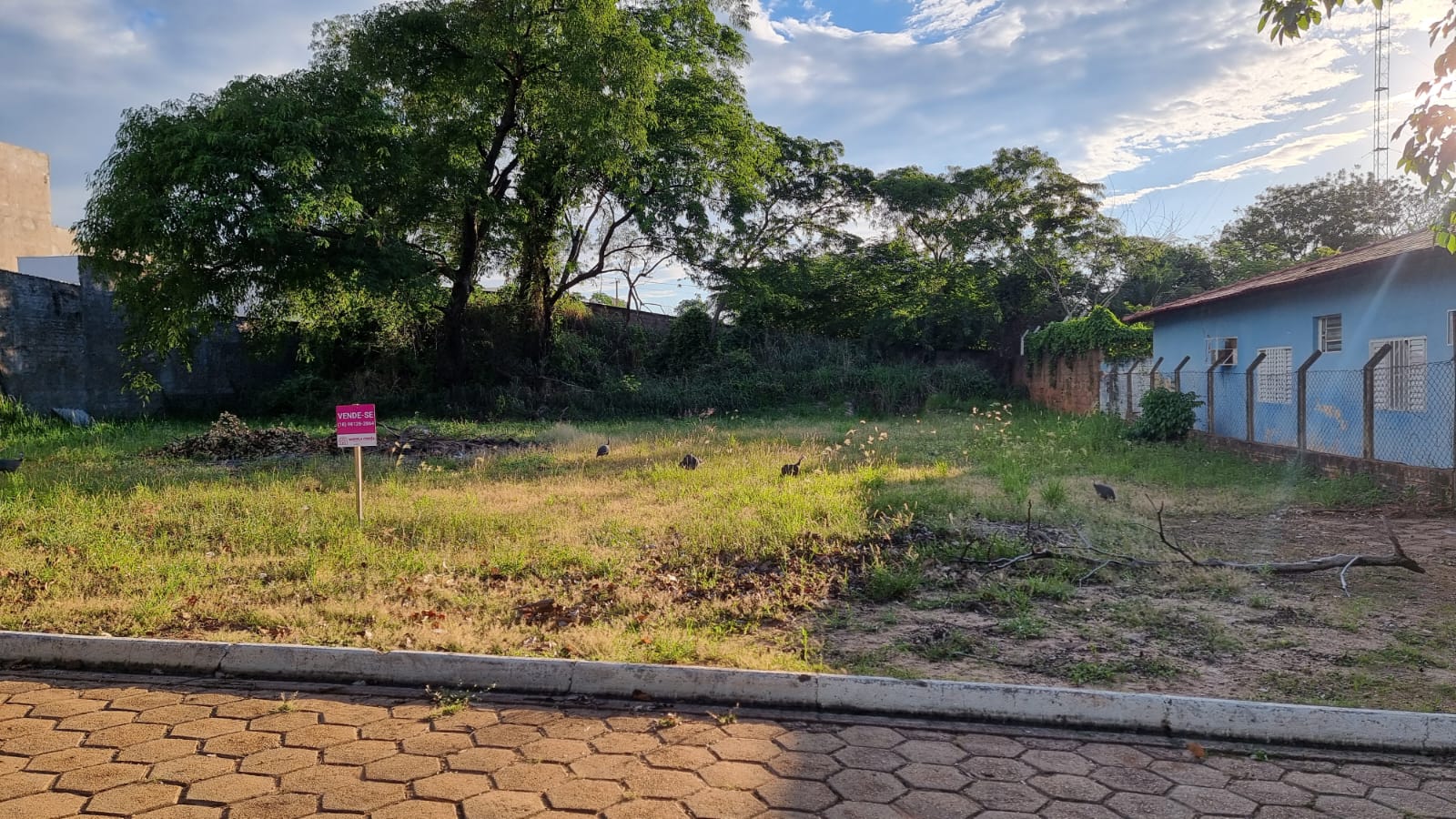 Terreno à Venda, 608,36 m² - Foto 9