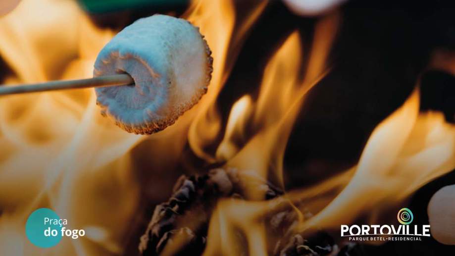 Terreno à Venda - Foto 11