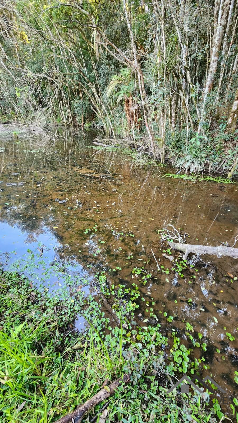 Rural à Venda, 24.200,00 m² - Foto 11