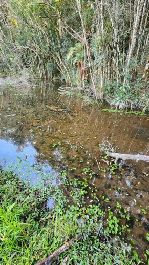 Rural à Venda, 24.200,00 m² - Foto 11