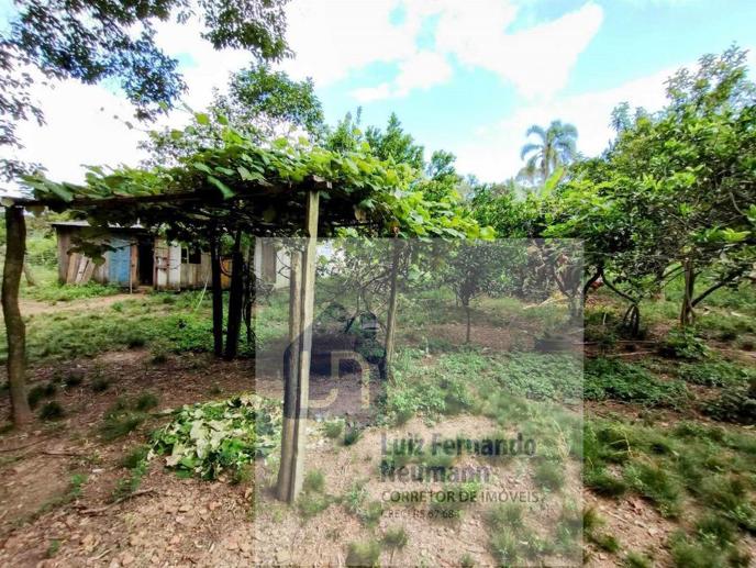 Rural com 3 Quartos à Venda, 197,00 m² - Foto 9