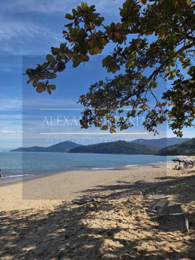 Casa com 4 Quartos para Temporada, 420,00 m² - Foto 20