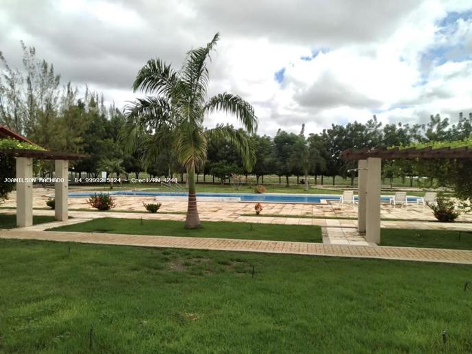 Terreno à Venda, 322,50 m² - Foto 12