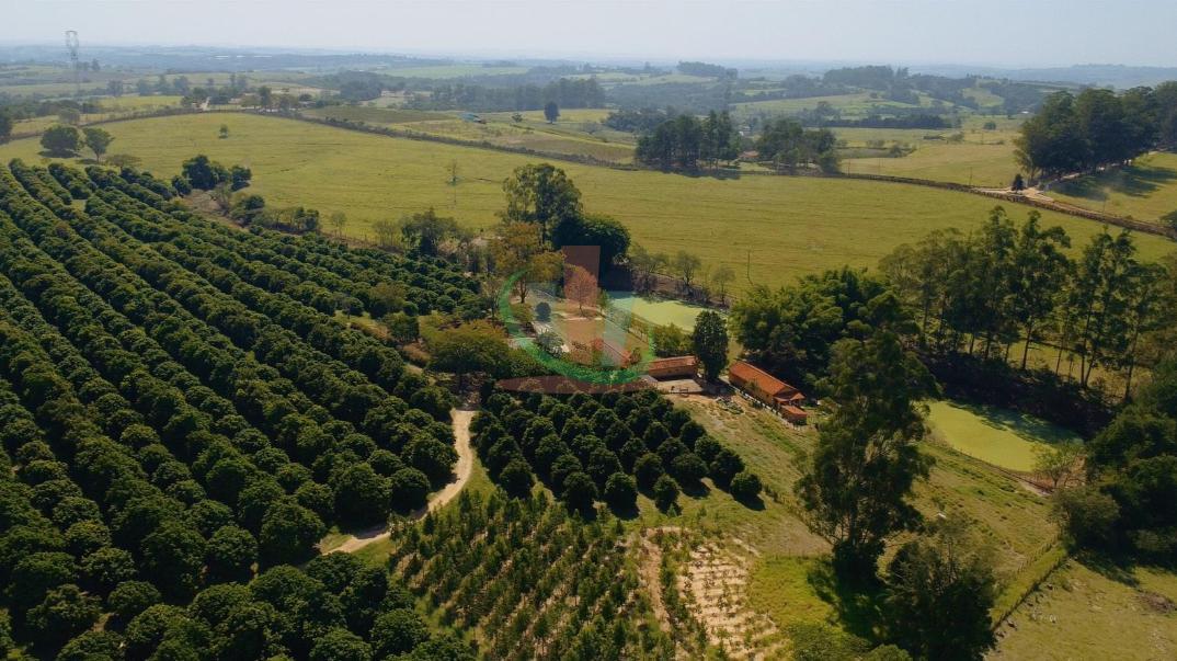 Rural com 4 Quartos à Venda, 241.000,00 m² - Foto 17