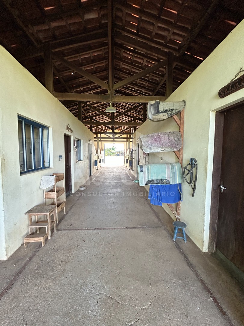 Rural com 8 Quartos à Venda, 242.000,00 m² - Foto 2