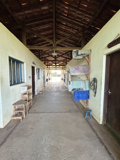 Rural com 8 Quartos à Venda, 242.000,00 m² - Foto 5