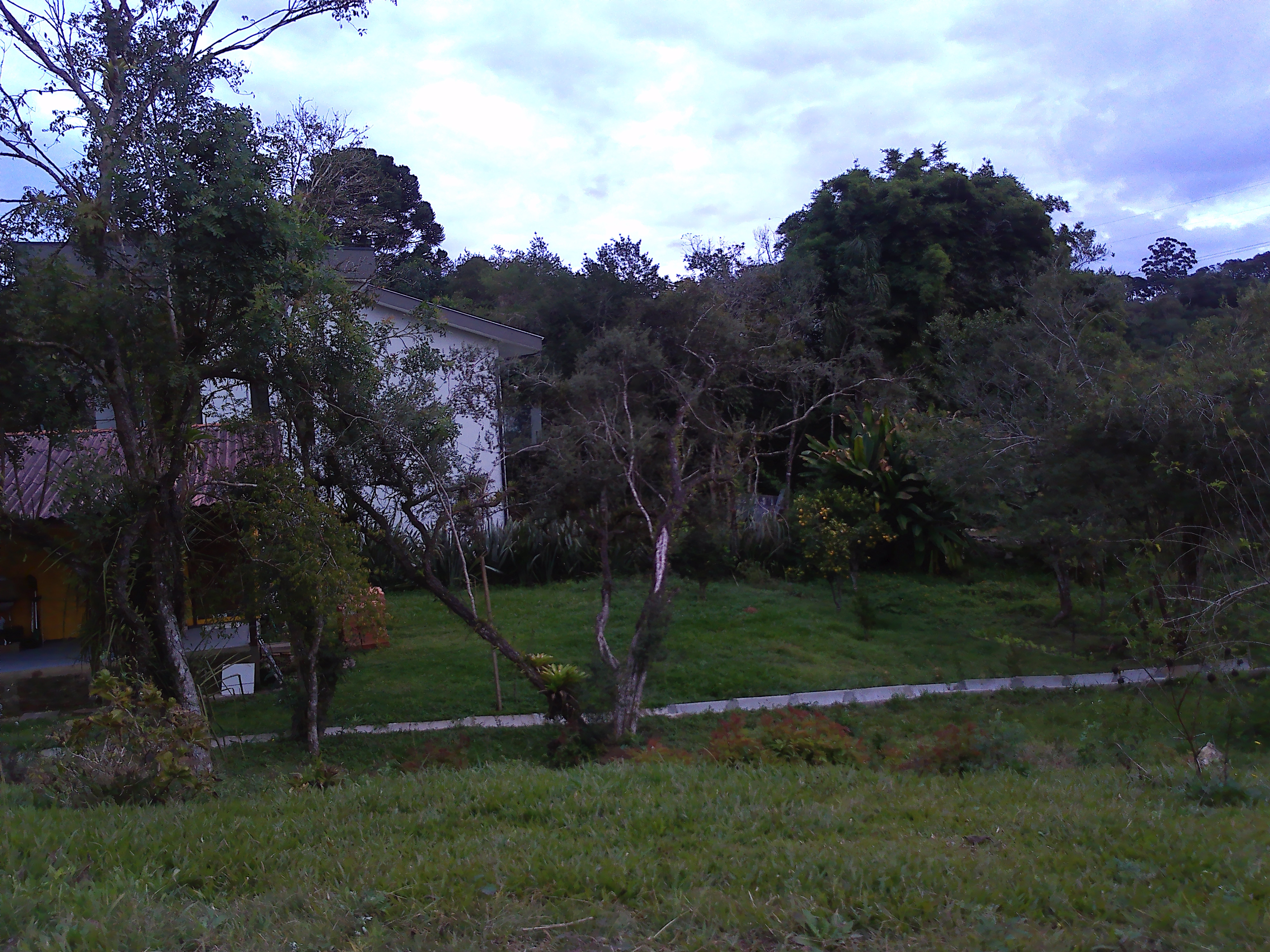 Rural com 3 Quartos à Venda, 1.237,22 m² - Foto 47