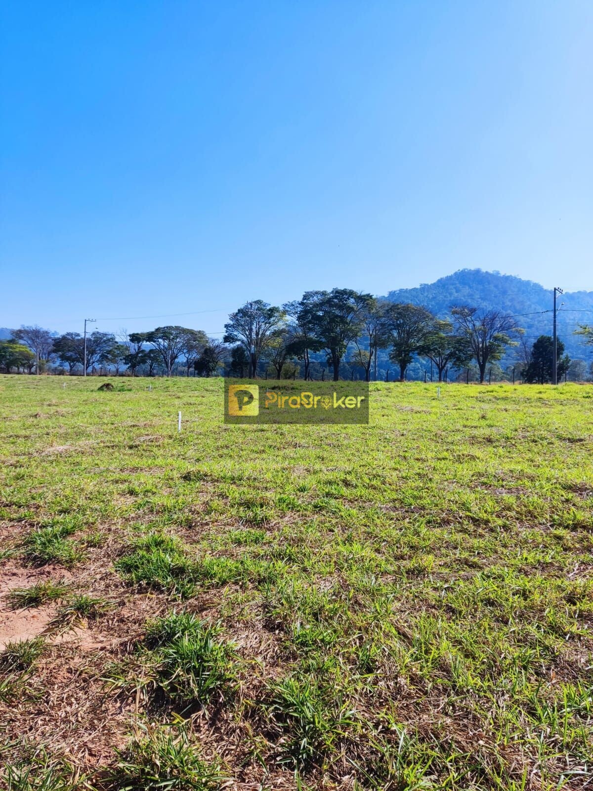 Terreno à Venda, 300,00 m² - Foto 12