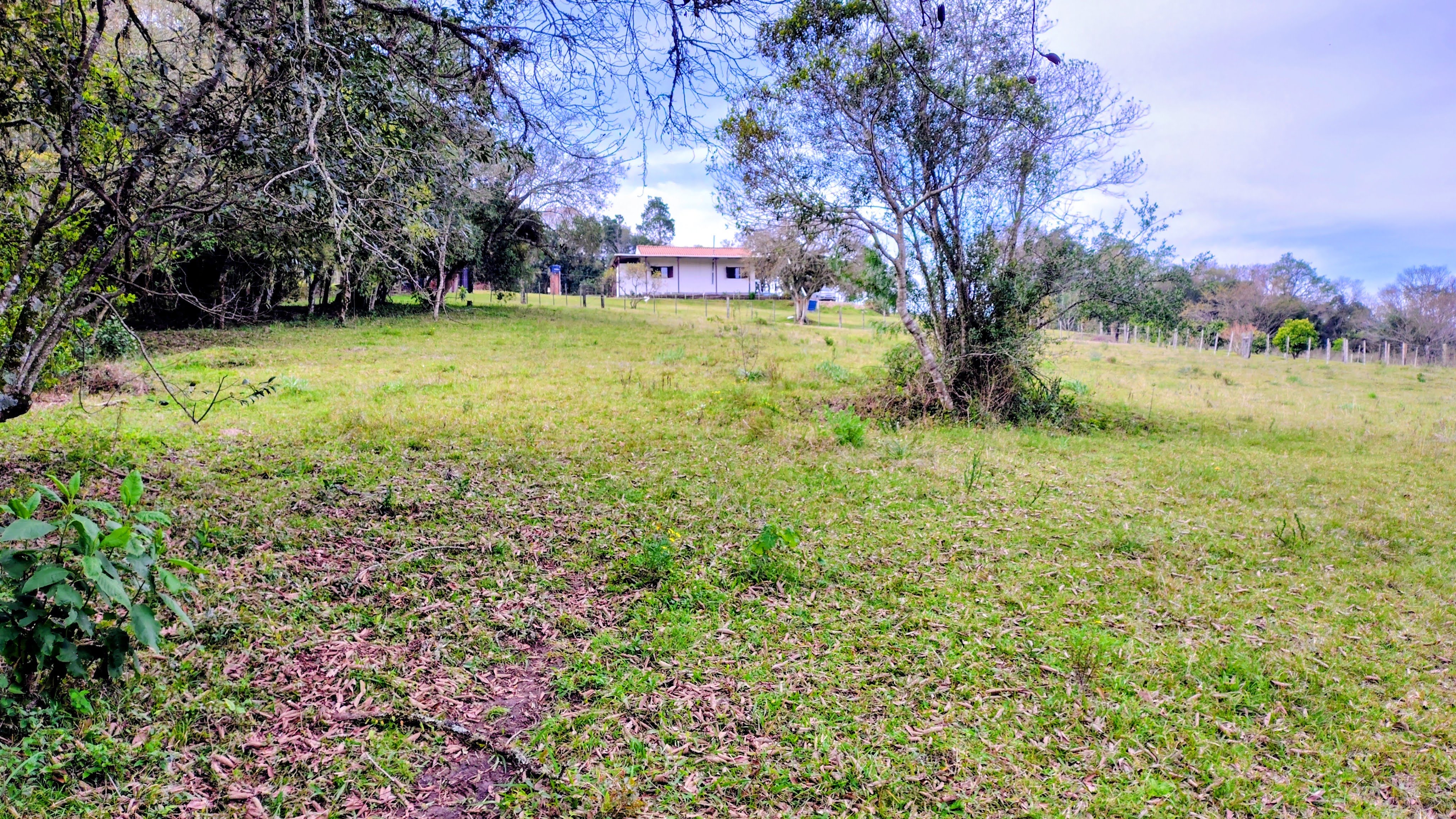 Rural com 2 Quartos à Venda, 20.000,00 m² - Foto 14