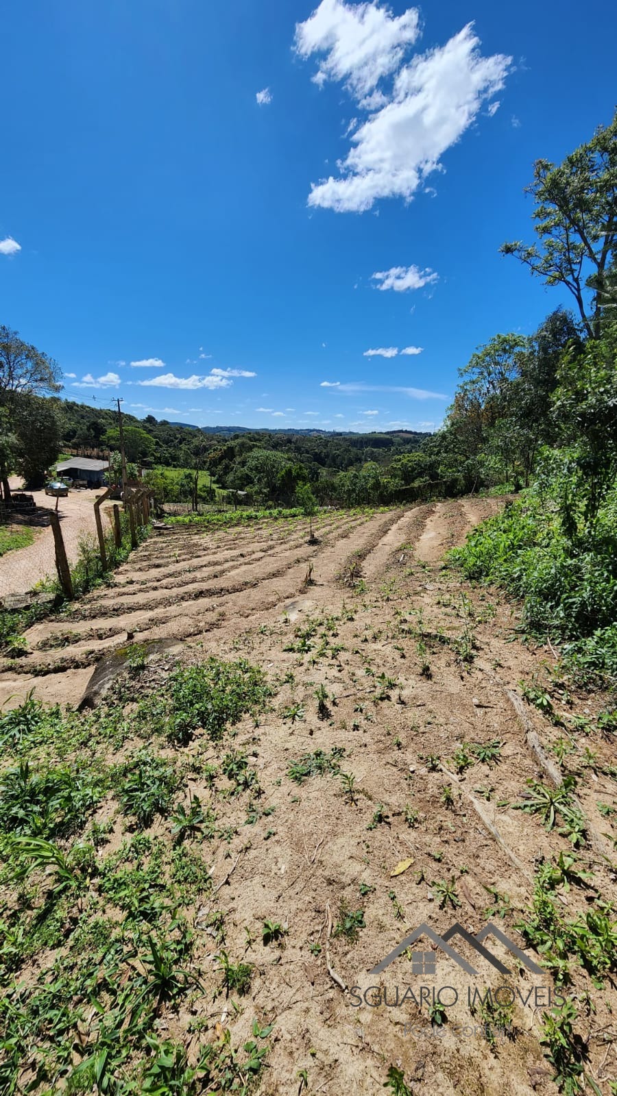 Rural à Venda, 6.050,00 m² - Foto 19