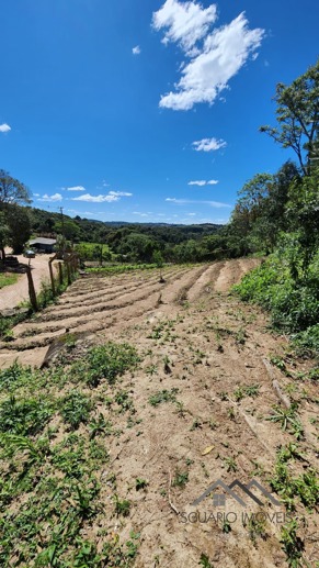 Rural à Venda, 6.050,00 m² - Foto 19