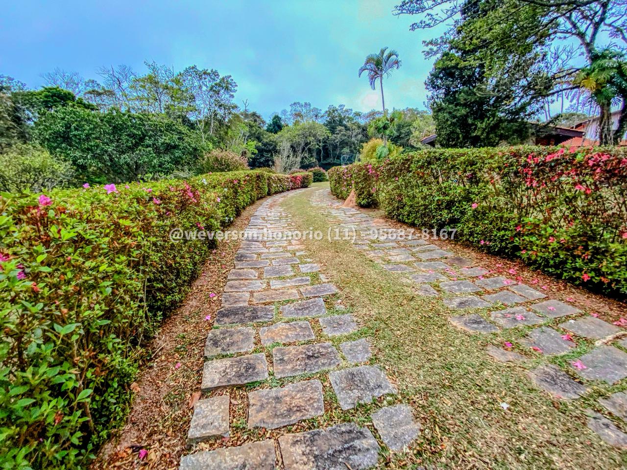 Casa com 4 Quartos à Venda, 10.000,00 m² - Foto 15