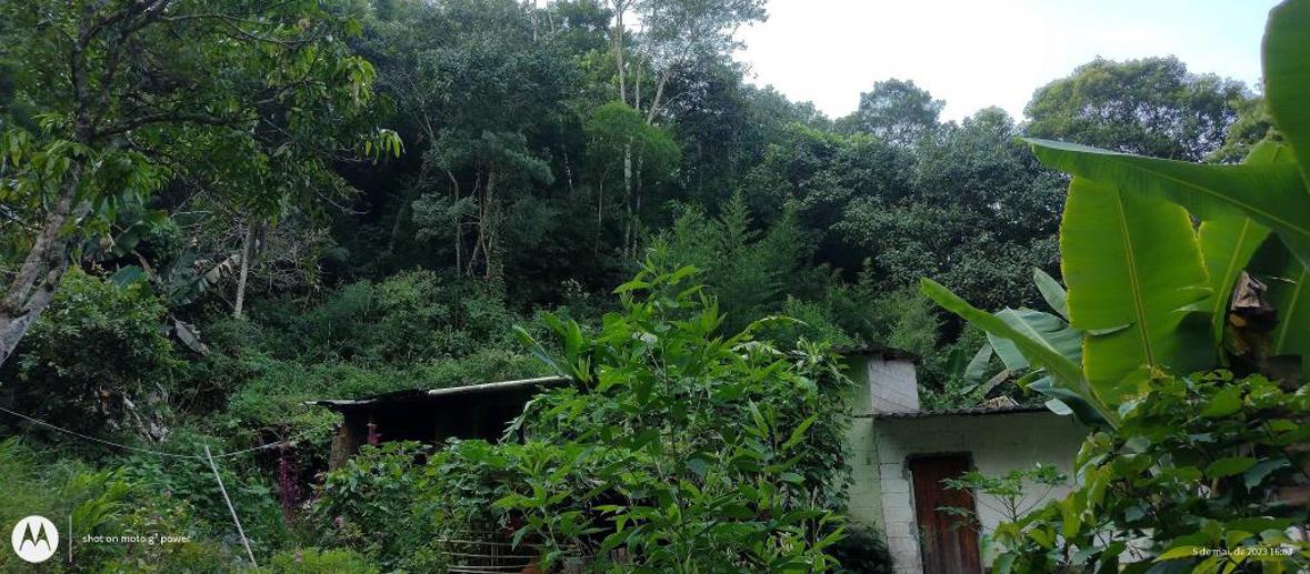 Terreno à Venda, 20.000,00 m² - Foto 6