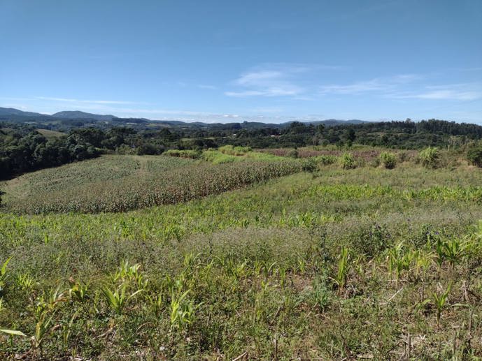 Terreno à Venda, 4.864,18 m² - Foto 5