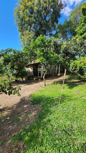 Rural à Venda, 3.025,00 m² - Foto 11