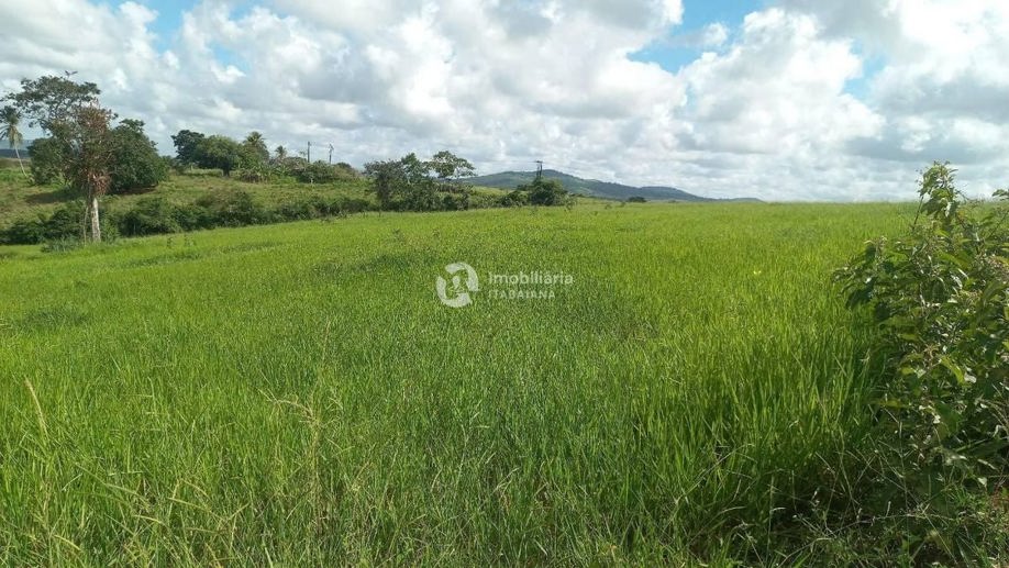 Rural com 5 Quartos à Venda, 868,00 m² - Foto 28