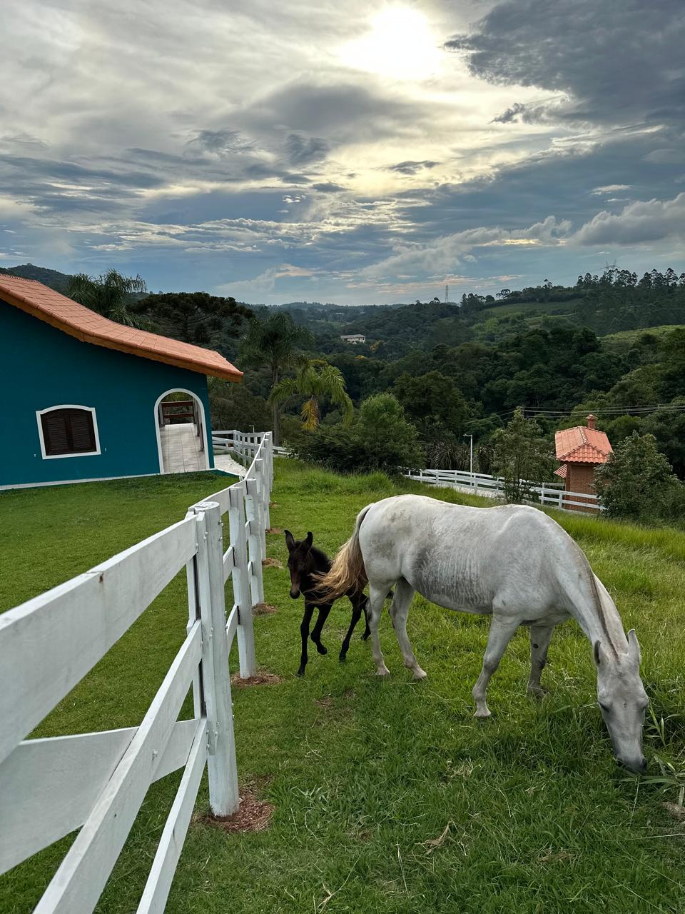 Casa com 4 Quartos à Venda, 40.000,00 m² - Foto 6
