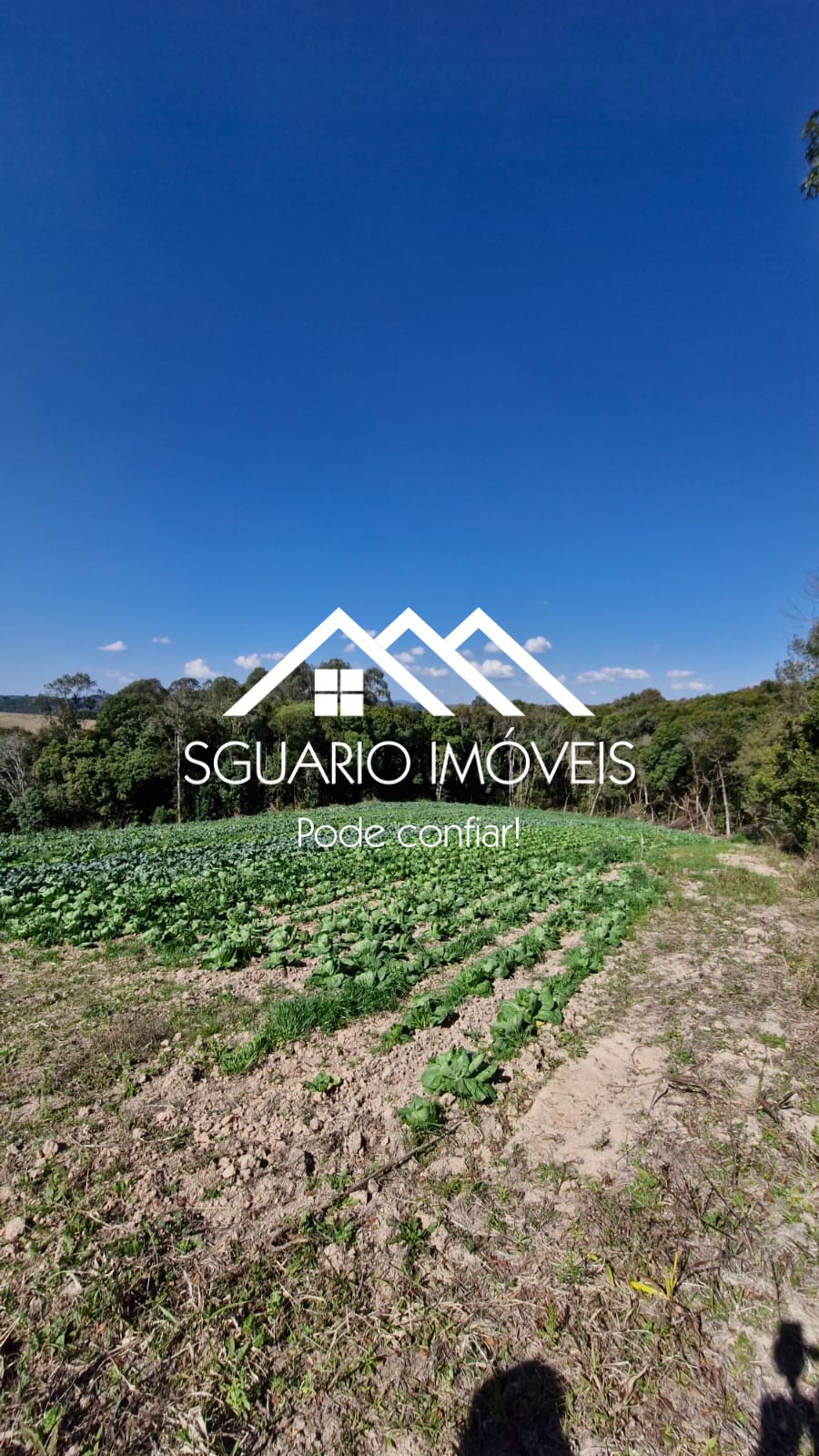 Rural com 3 Quartos à Venda, 20.800,00 m² - Foto 15
