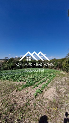 Rural com 3 Quartos à Venda, 20.800,00 m² - Foto 15
