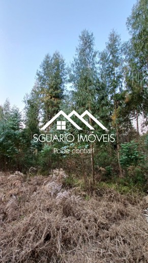 Rural com 2 Quartos à Venda, 26.344,00 m² - Foto 9