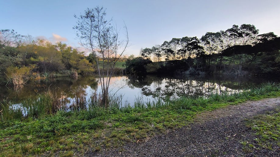 Rural à Venda, 70.000,00 m² - Foto 1