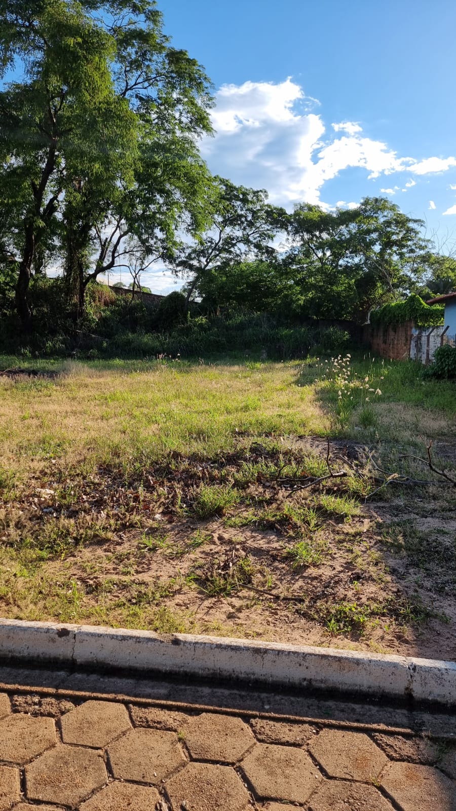 Terreno à Venda, 608,36 m² - Foto 5