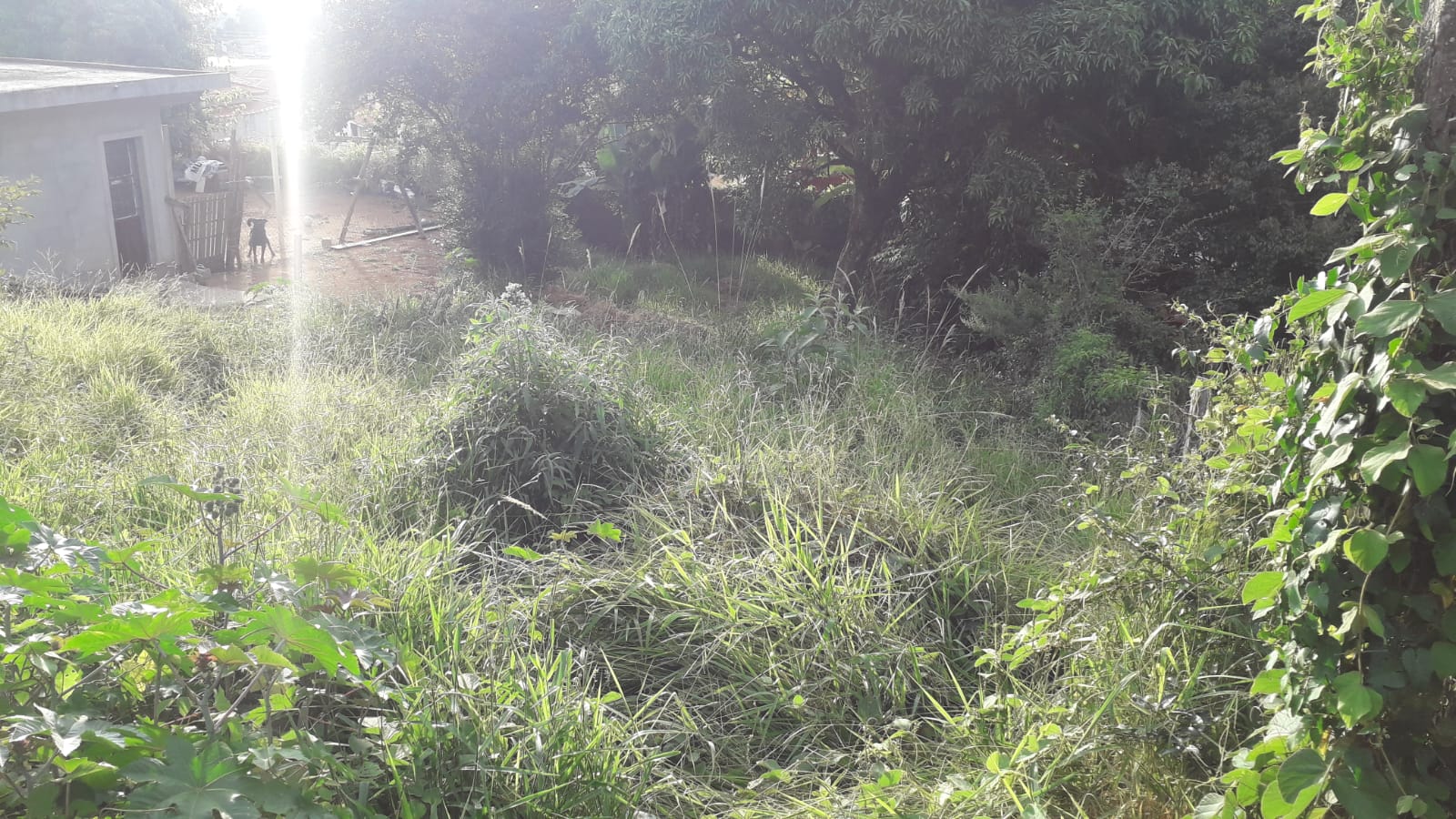 Terreno à Venda, 300,00 m² - Foto 12