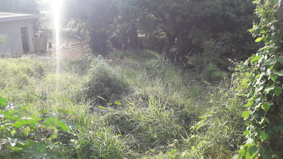 Terreno à Venda, 300,00 m² - Foto 2