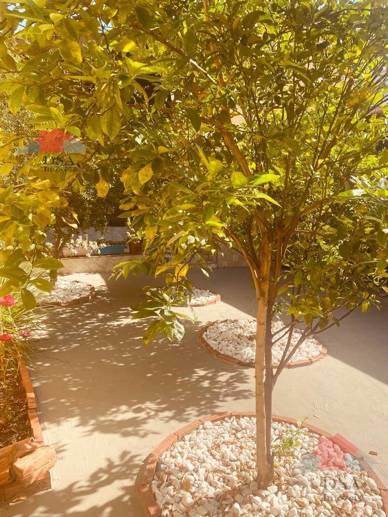 Casa com 3 Quartos à Venda, 300,00 m² - Foto 40