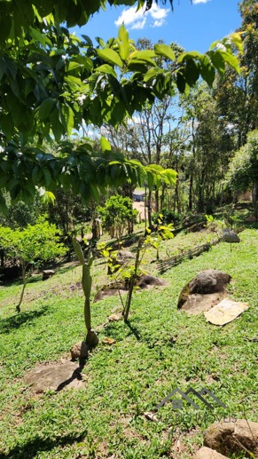 Rural à Venda, 6.050,00 m² - Foto 17